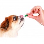 Recommended Daily Supplement Allowances for Canines