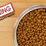 Prescription pet foods found to contain cancer causing toxins