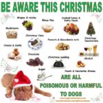 The developing 7 dangerous  holiday foods for dogs