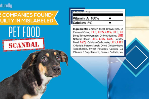 Can pet owners truly trust the dog food labels?