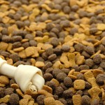Why Is There Pentobarbital In Dog Food?
