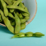 The skinny on soy: Exposing a popular pet food protein