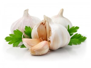 ripe garlic fruits with green parsley leaves isolated on white background