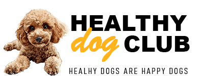 Healthydogclub